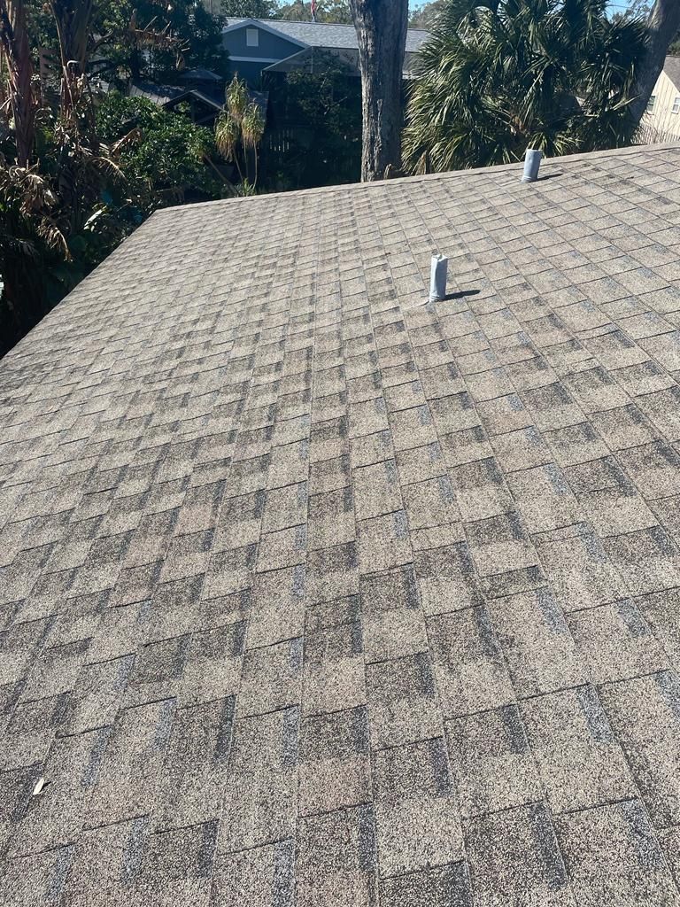 Gravel-textured roof with two vent pipes, viewed from above with trees in the background