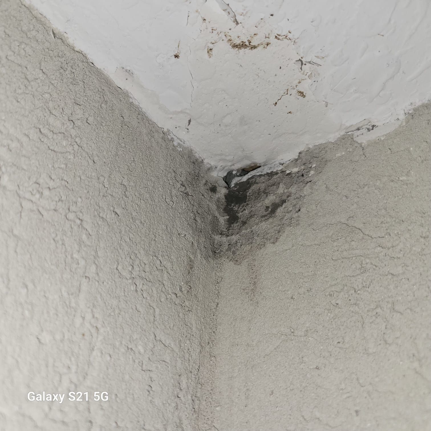 Corner of a white ceiling and wall with a dark stain and mold spot near the top
