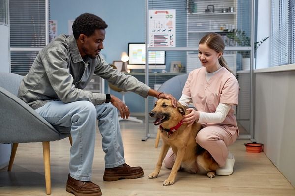 Therapist and child pet a golden retriever in a bright clinic room.