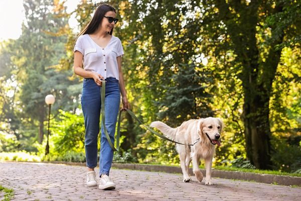 Woman walking a golden retriever on a tree-lined path in a sunny park