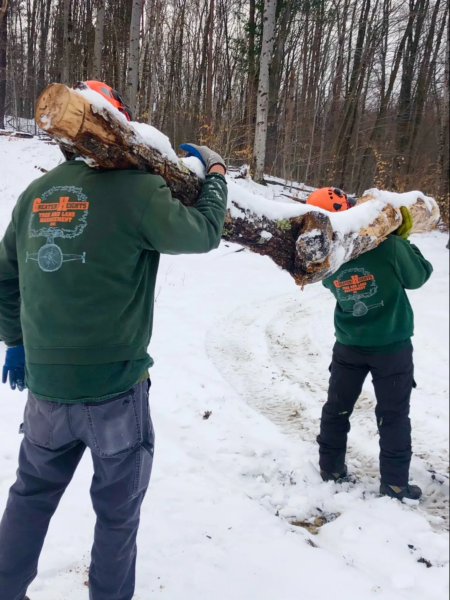 Two people in green jackets carrying a log covered in snow in a snowy forest.