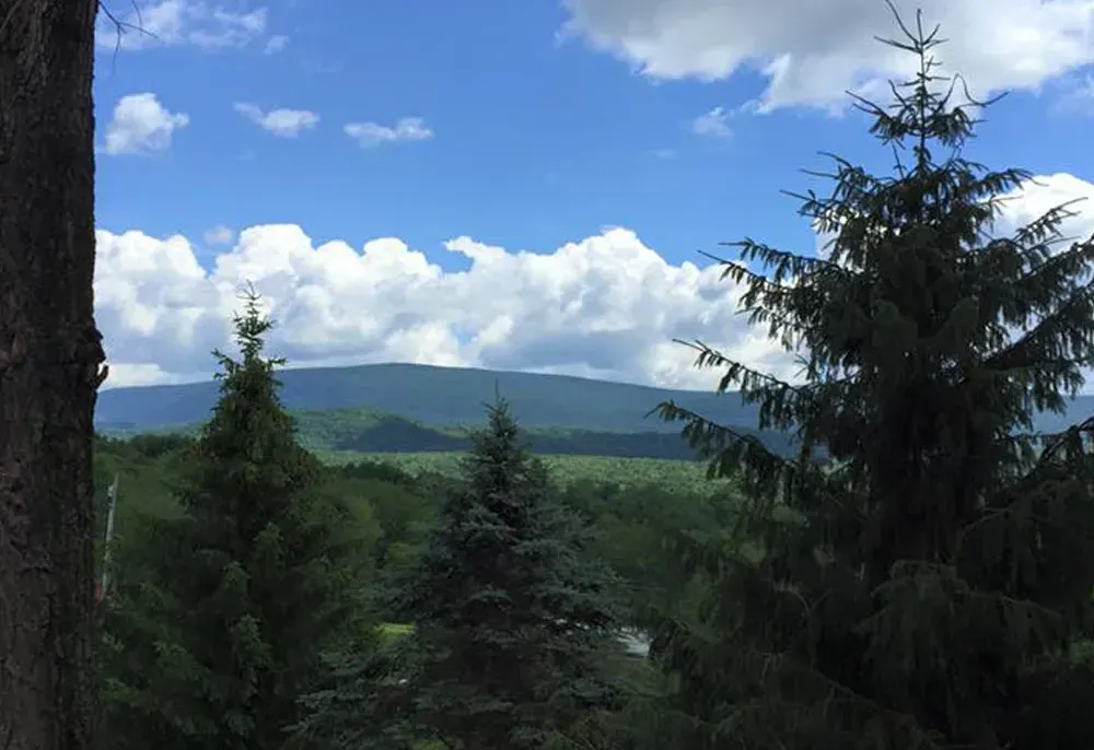 Blue sky over mountains and green trees.
