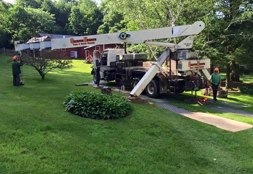 Truck-mounted crane with two workers trimming a tree in a residential yard. Green grass, blue sky, and a red building are in the background.
