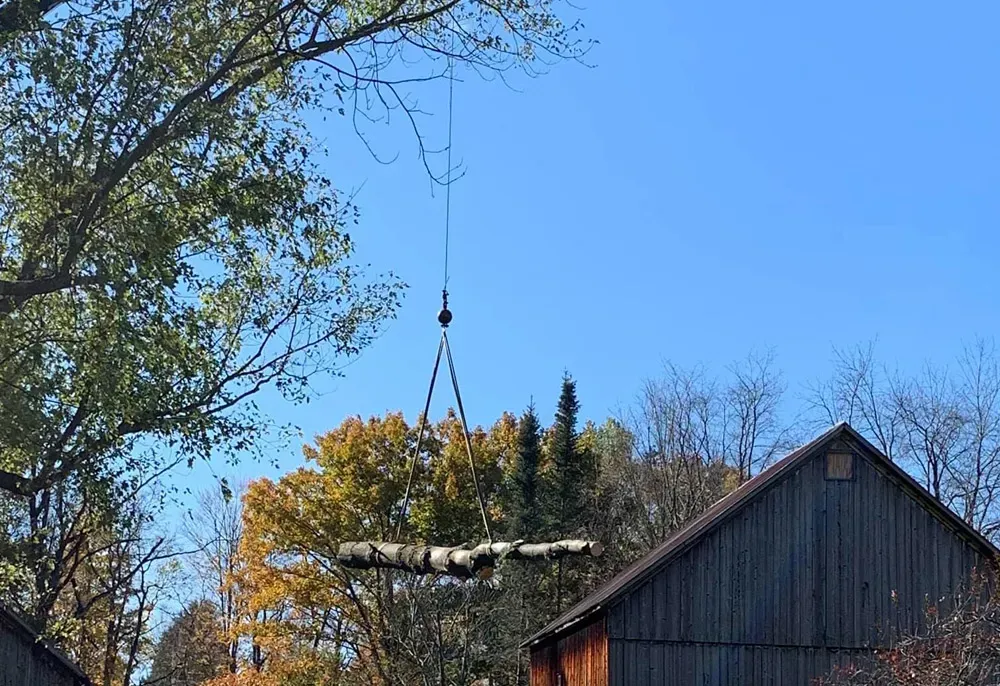 Crane lifting logs near a barn on a sunny day.
