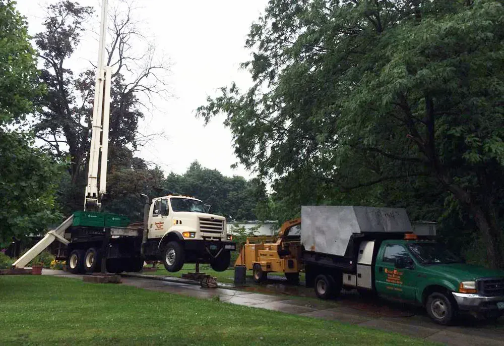A tree service bucket truck and a chipper truck parked on a driveway in a residential yard.