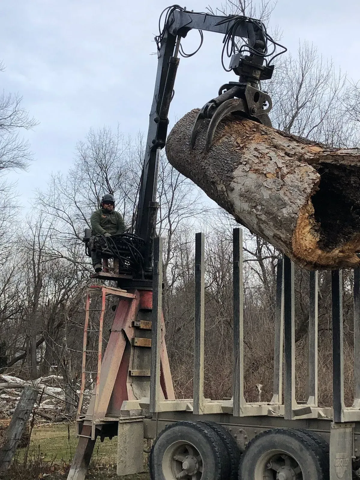 A truck with a crane is loading a large log. A worker sits in the crane controls. Outdoors.