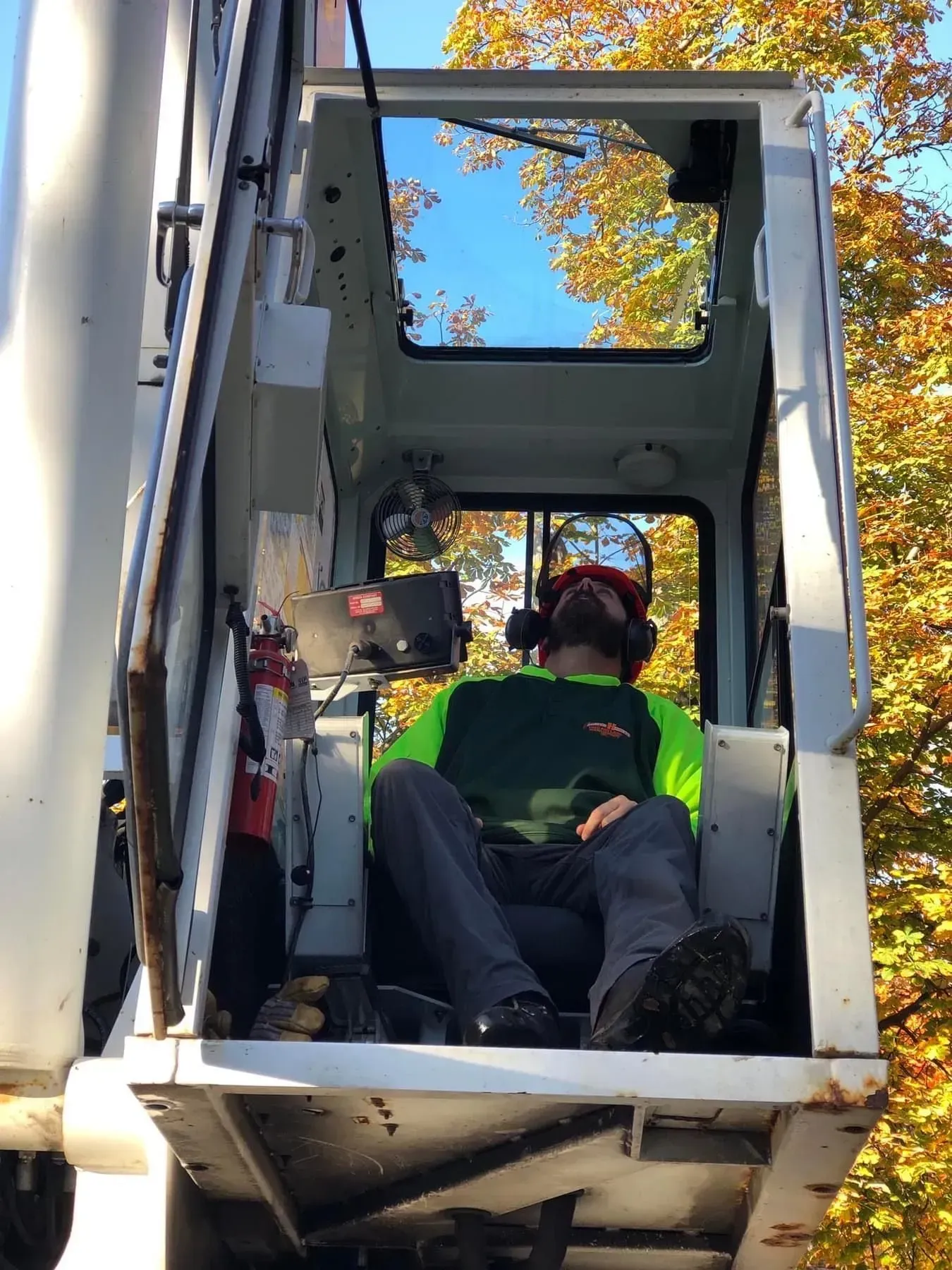 Person in tree lift cab looking up at the sky; fall foliage visible.