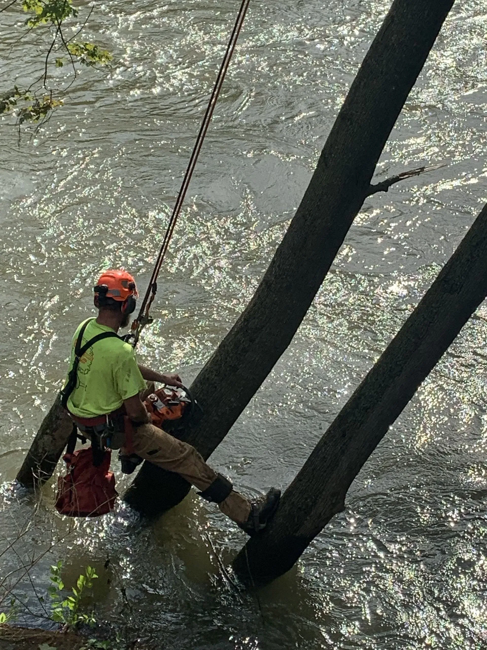 Arborist in orange helmet and safety gear, cutting a tree over water with a chainsaw.