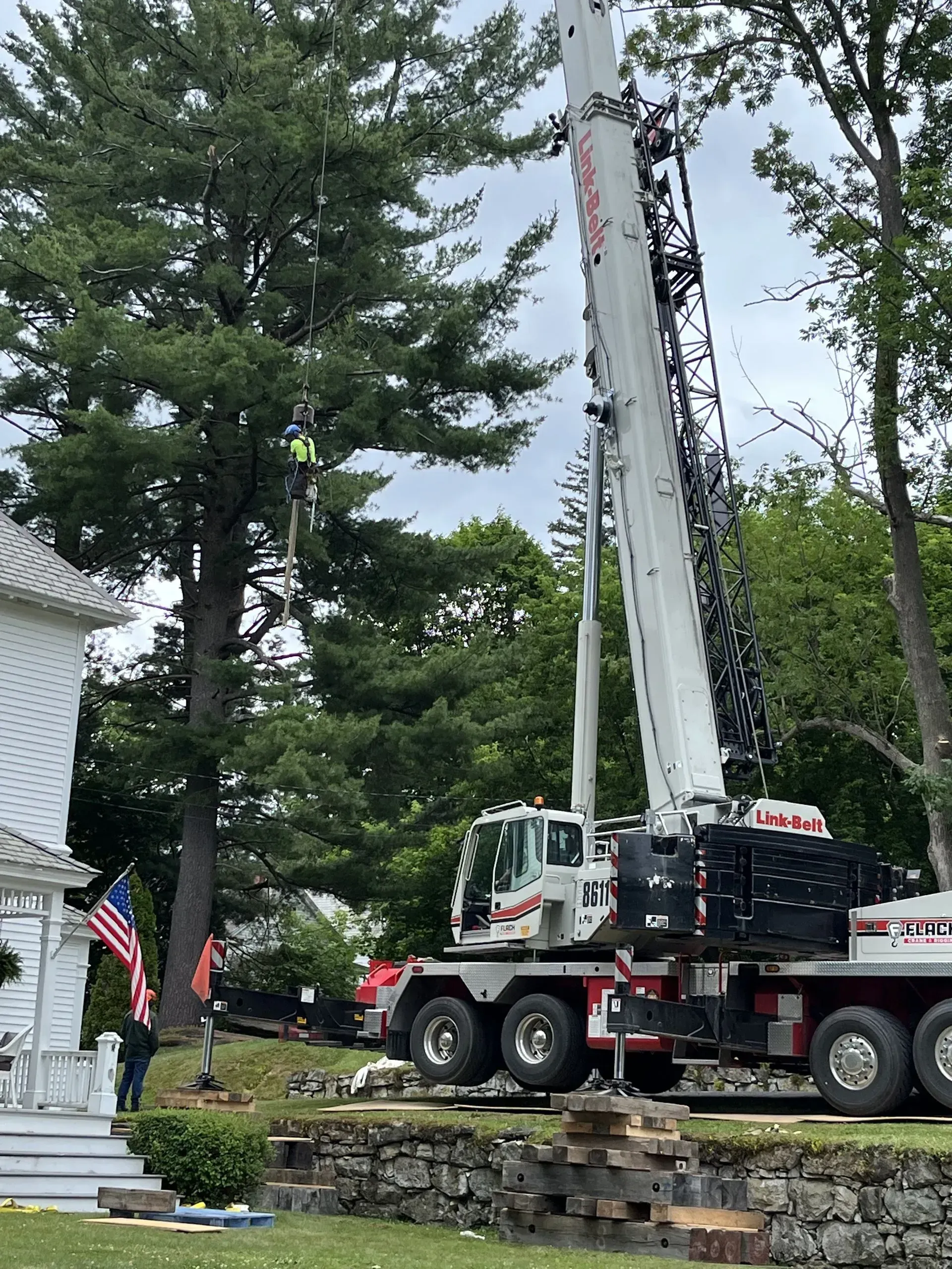 A crane removes a large tree next to a white house, with a worker suspended in the branches.