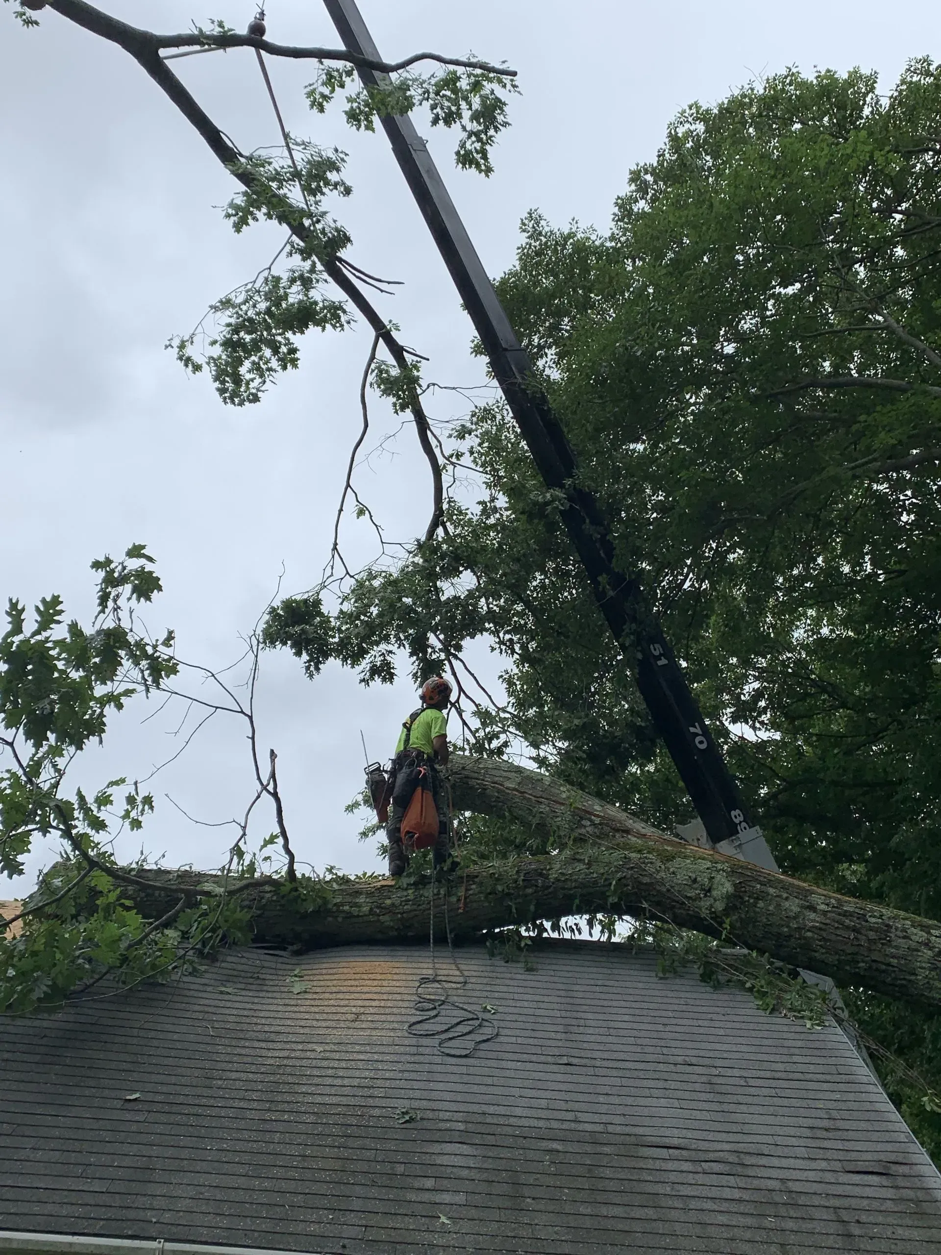 An arborist in high-visibility gear stands on a roof, working to remove a large fallen tree limb with a crane.