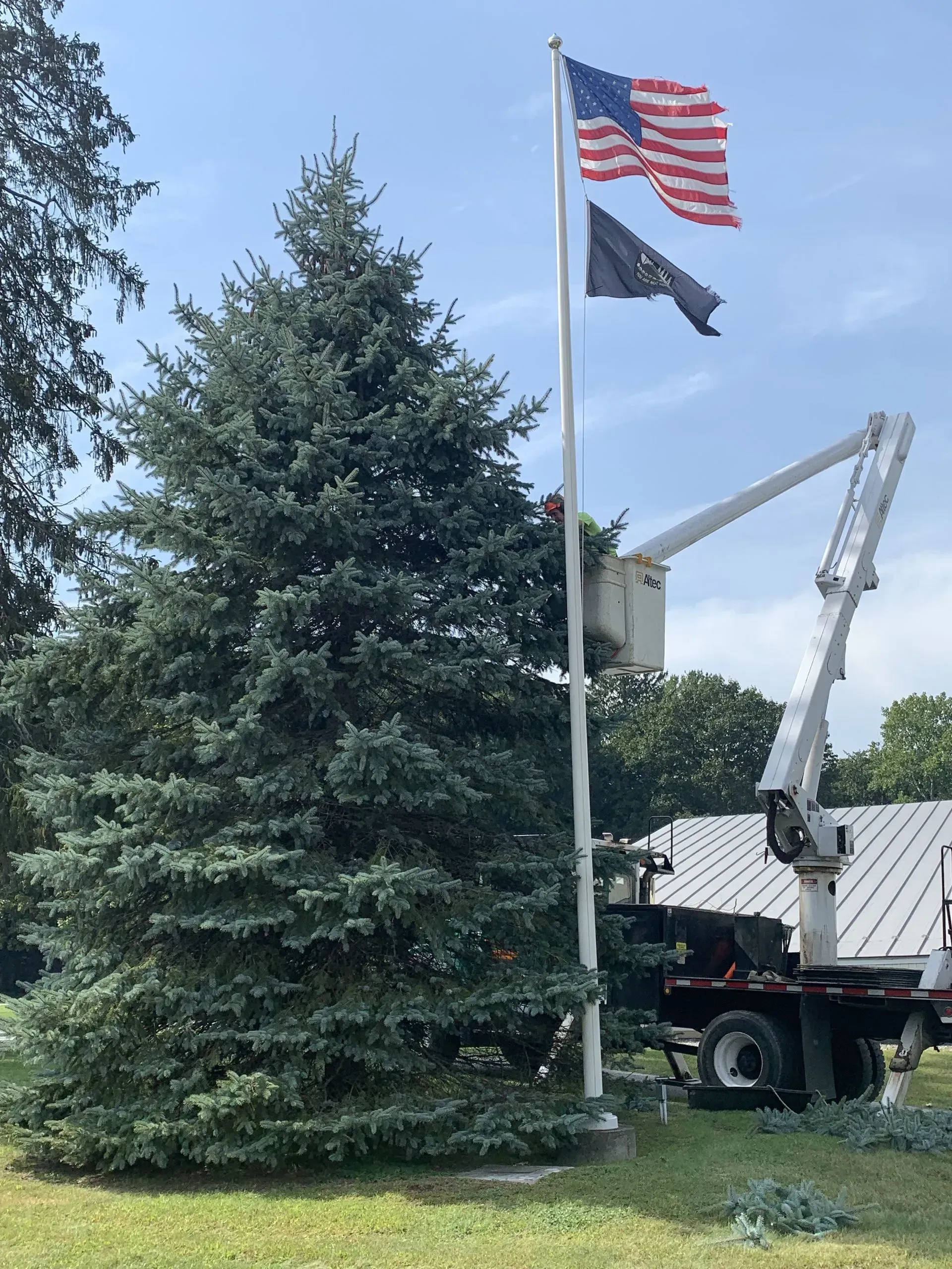 A tall evergreen tree beside a flagpole with American and POW/MIA flags; a lift truck trims the tree.