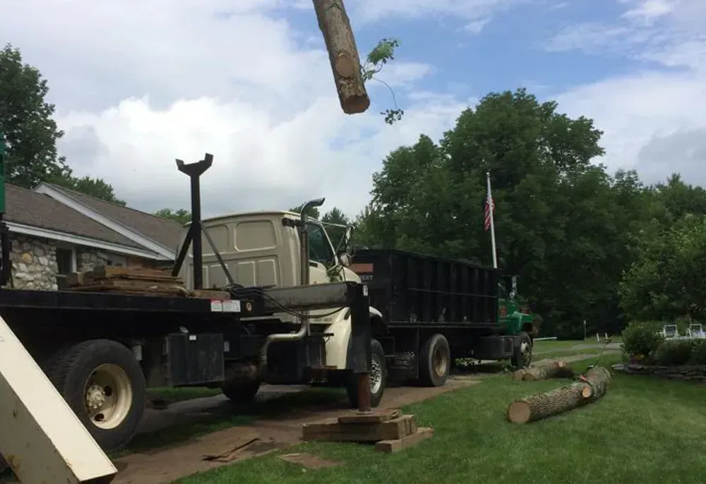 A truck loading tree logs on a sunny day. A log hangs in the air above the truck bed.