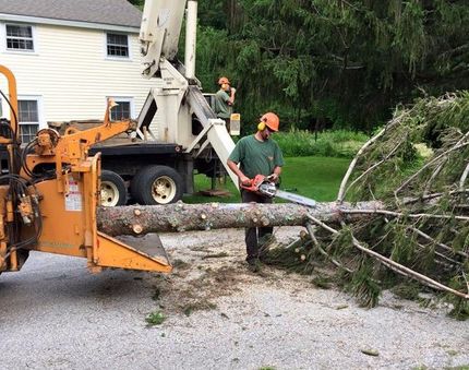 Greater Heights Tree and Land Management Inc