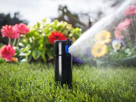 A sprinkler is spraying water on a lush green lawn.