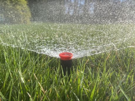 A sprinkler is spraying water on a lush green lawn.