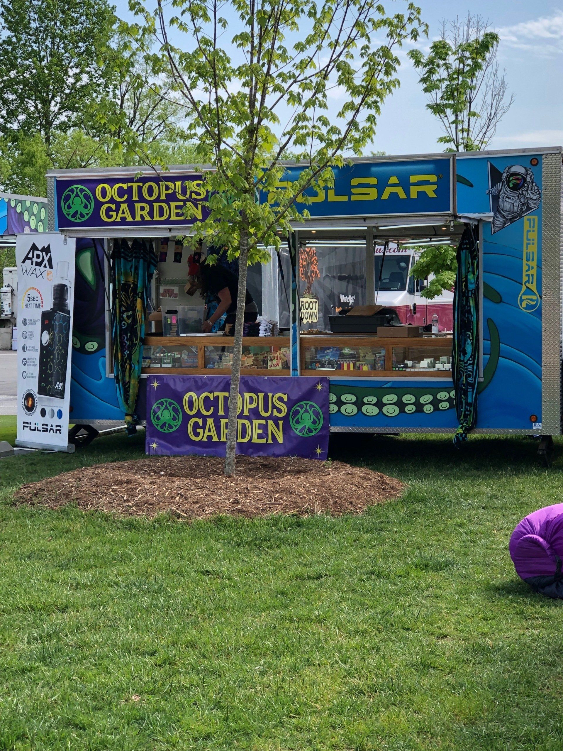 Octopus Garden Hendersonville Nc - 3v97ja1