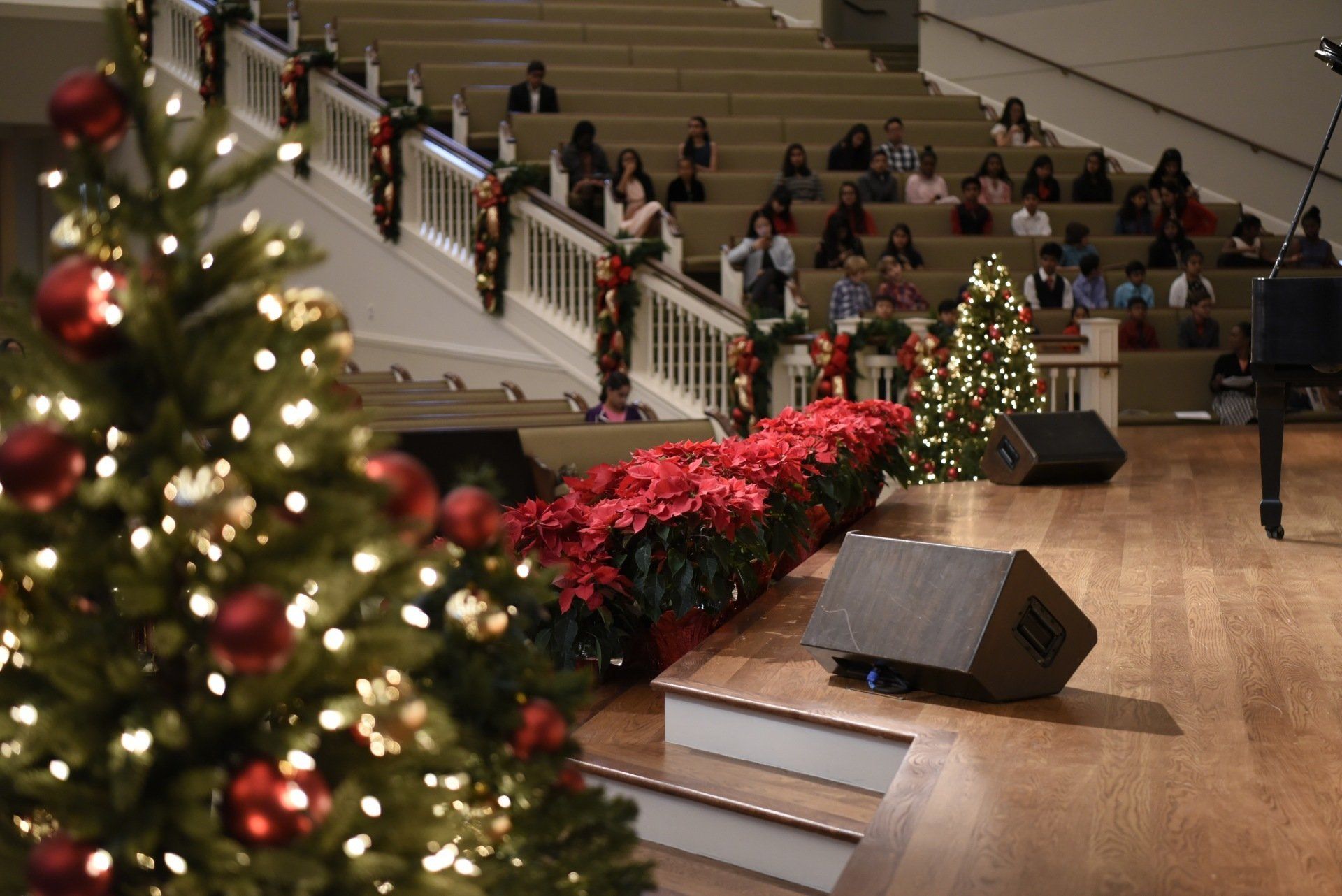 A decorated auditorium with Christmas trees, poinsettias, and a seated audience.
