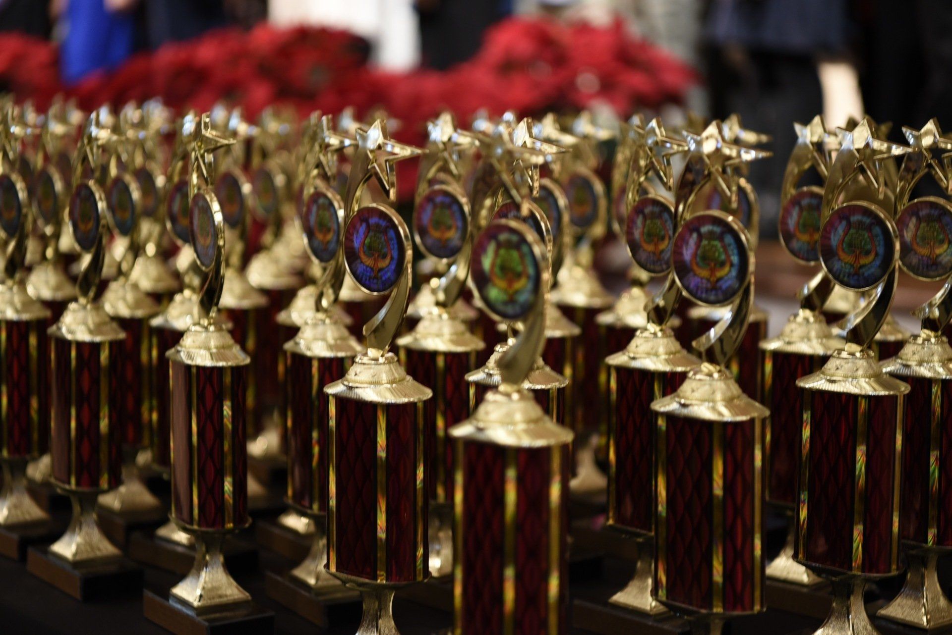 Trophies lined up, gold and maroon, for an awards ceremony.