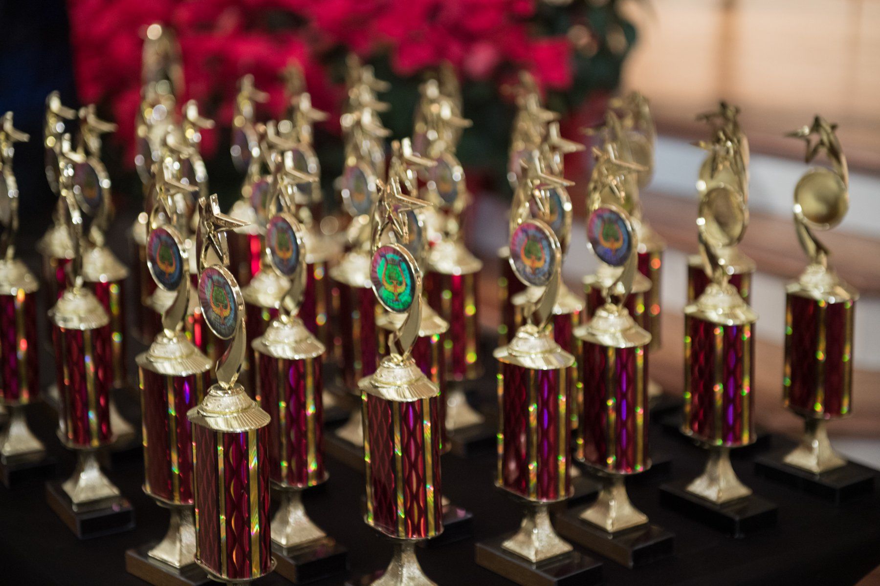 Rows of gold and red trophies on a table.