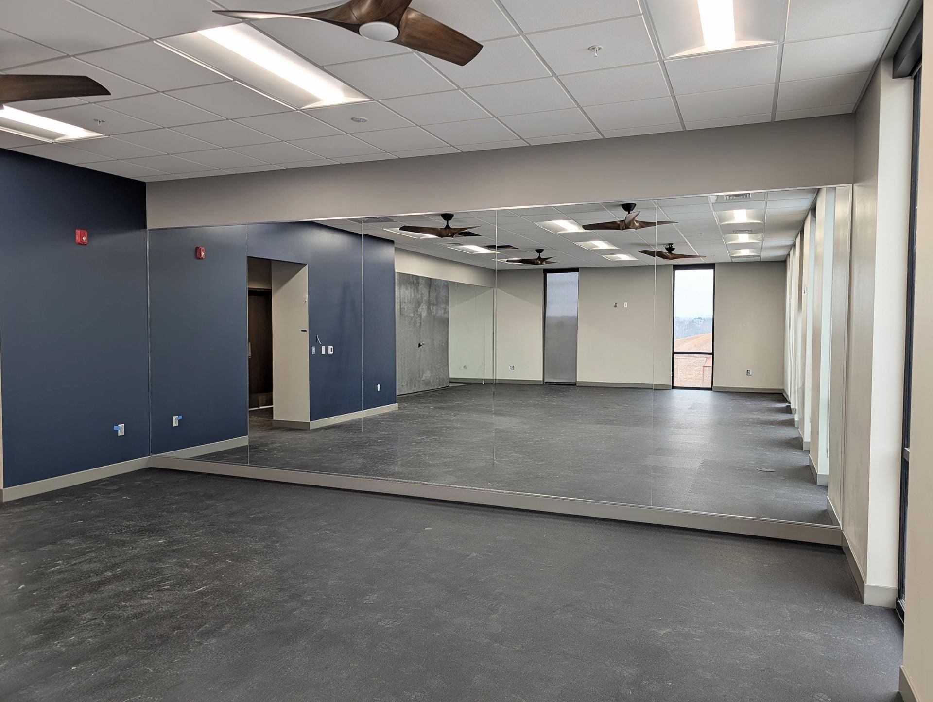 Empty commercial office space with blue walls, gray carpet, and suspended ceiling tiles