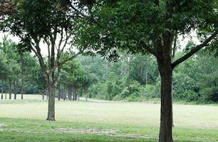 RV Park RV Park