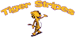 Tiger Stripes - Logo