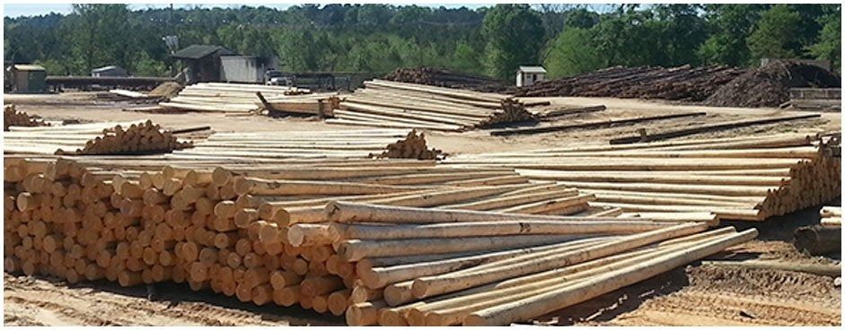 Lumberyard with stacks of logs and lumber. Trees and buildings in the background. Sunny day.