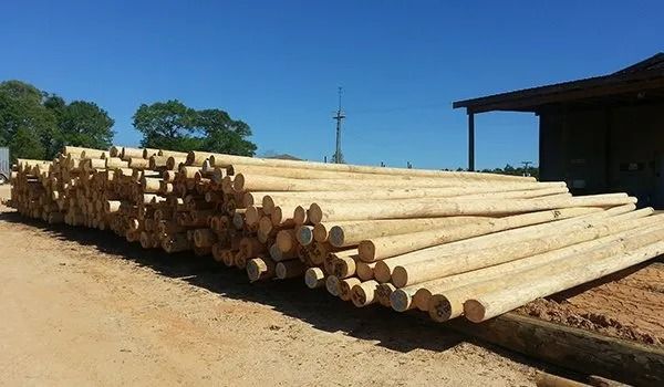 Pile of freshly cut wooden logs on a dirt lot, with a building and blue sky in the background.