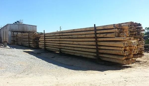 Piles of treated wooden poles, secured with metal straps, stacked outside a building under a blue sky.