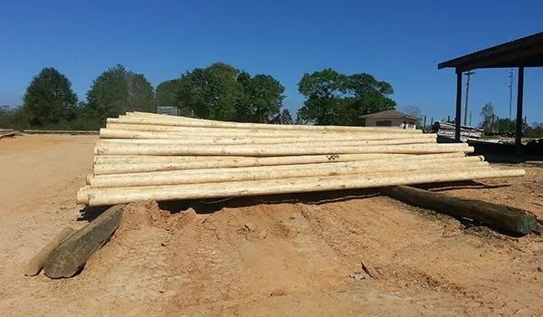 Pile of long, light-brown wooden poles on a sandy surface, with trees and a structure in the background.