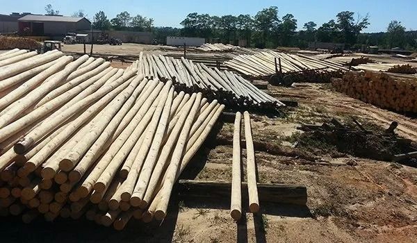 Logs stacked outdoors at a lumber yard.