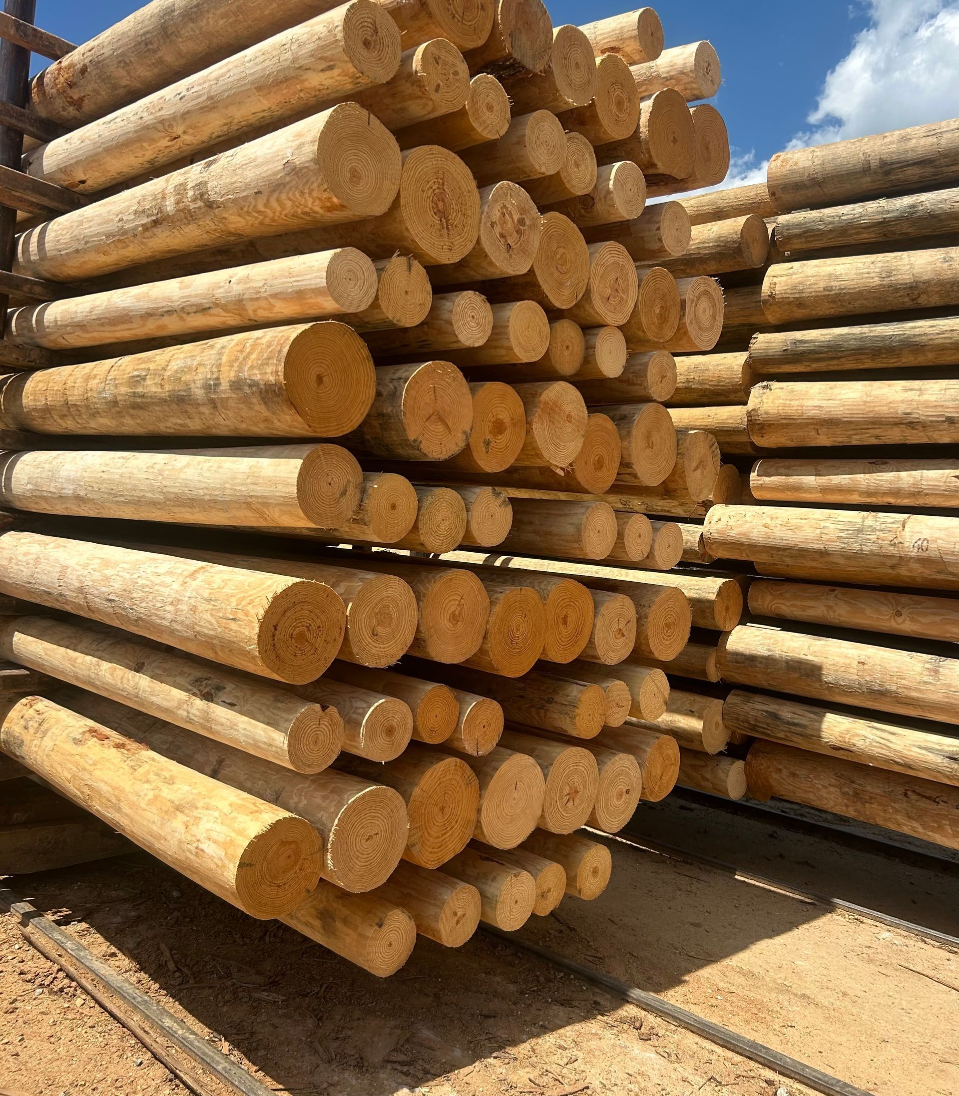 Stacks of cut logs piled outdoors under a blue sky on a lumber yard