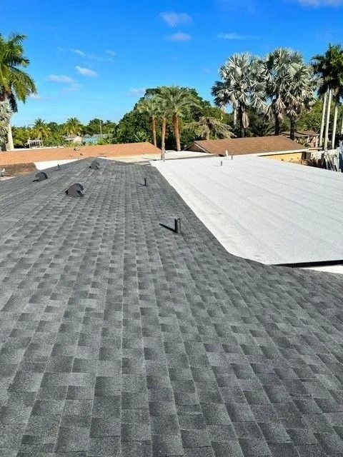 Roof under construction with gray shingles, white underlayment, and palm trees under a blue sky