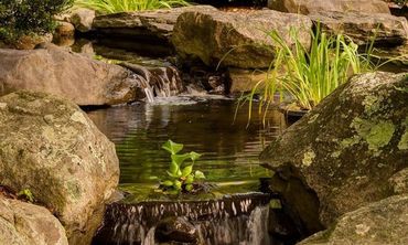 A small waterfall is surrounded by rocks and plants in a pond.