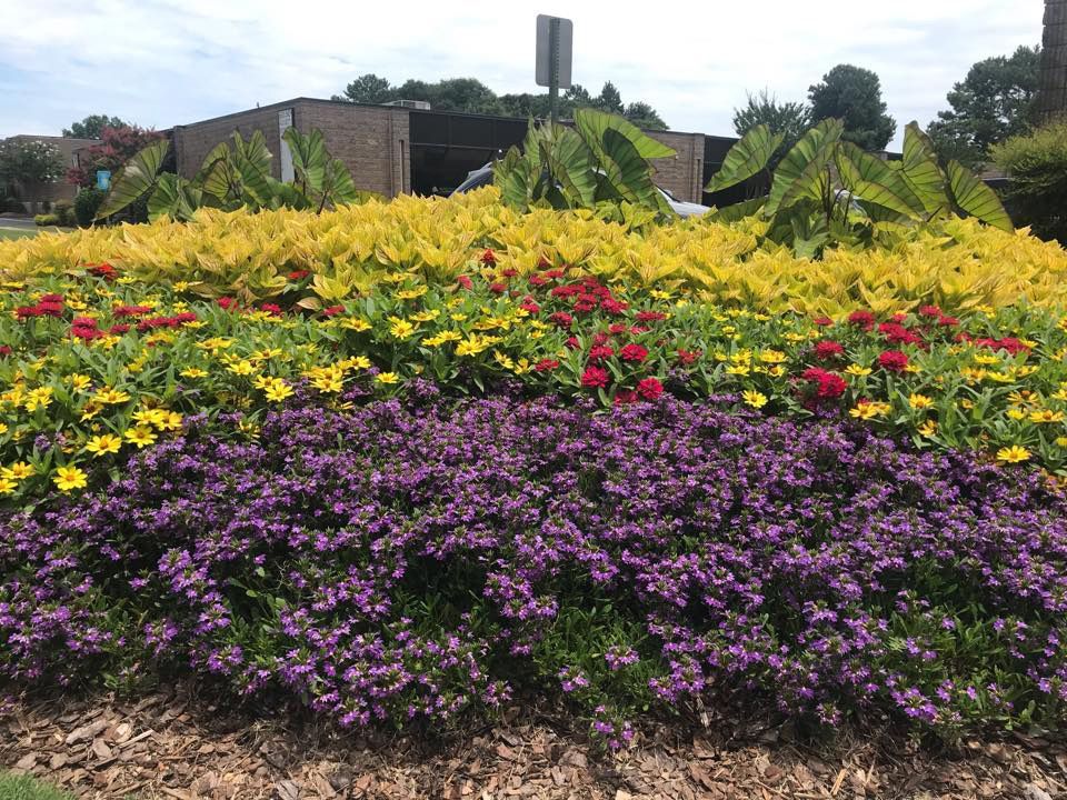 A garden with purple and yellow flowers in front of a building