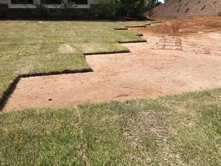 A lawn with a lot of grass and dirt in it.