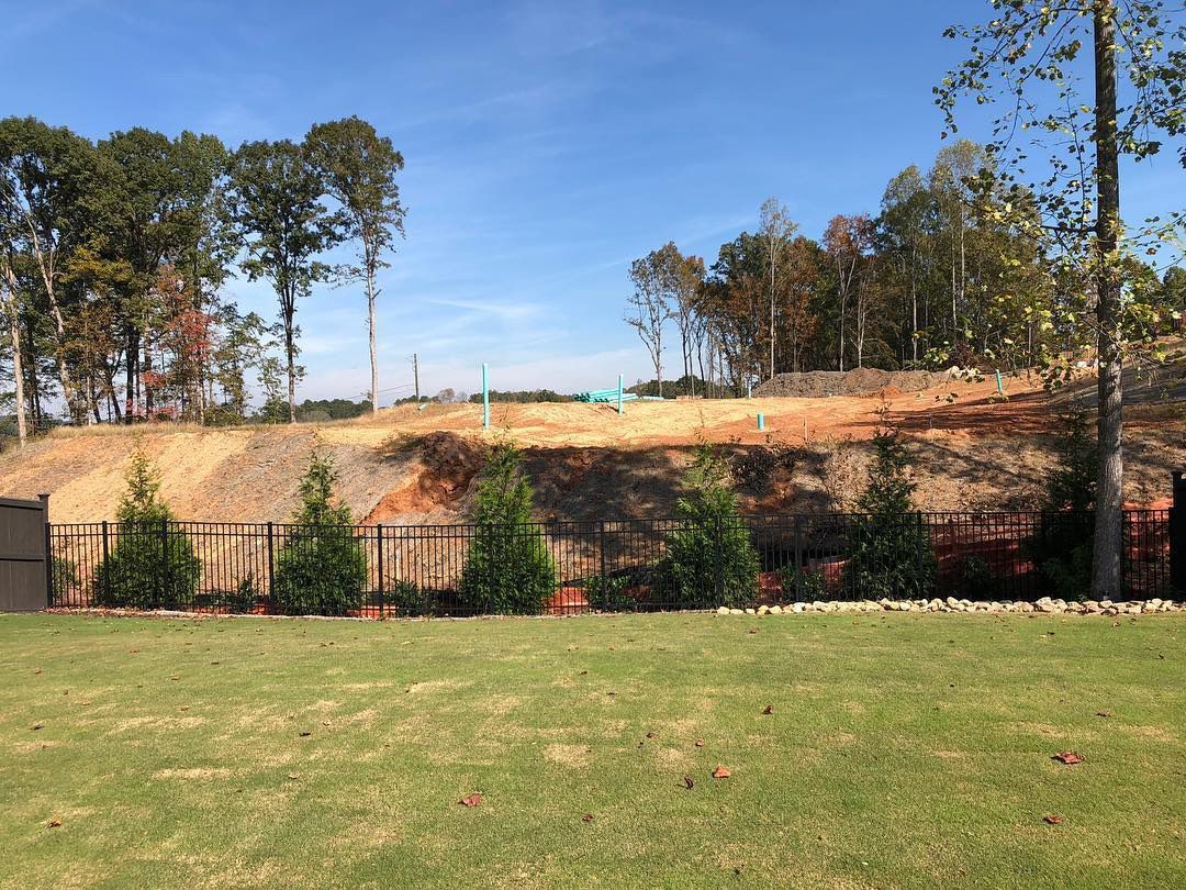 A large grassy field with a fence and trees in the background.