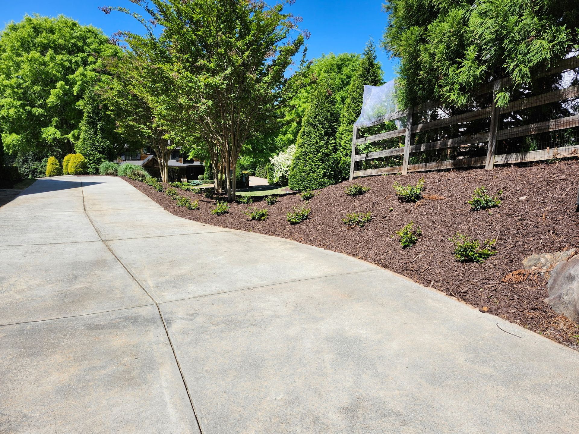 A concrete driveway with a wooden fence and trees on the side.