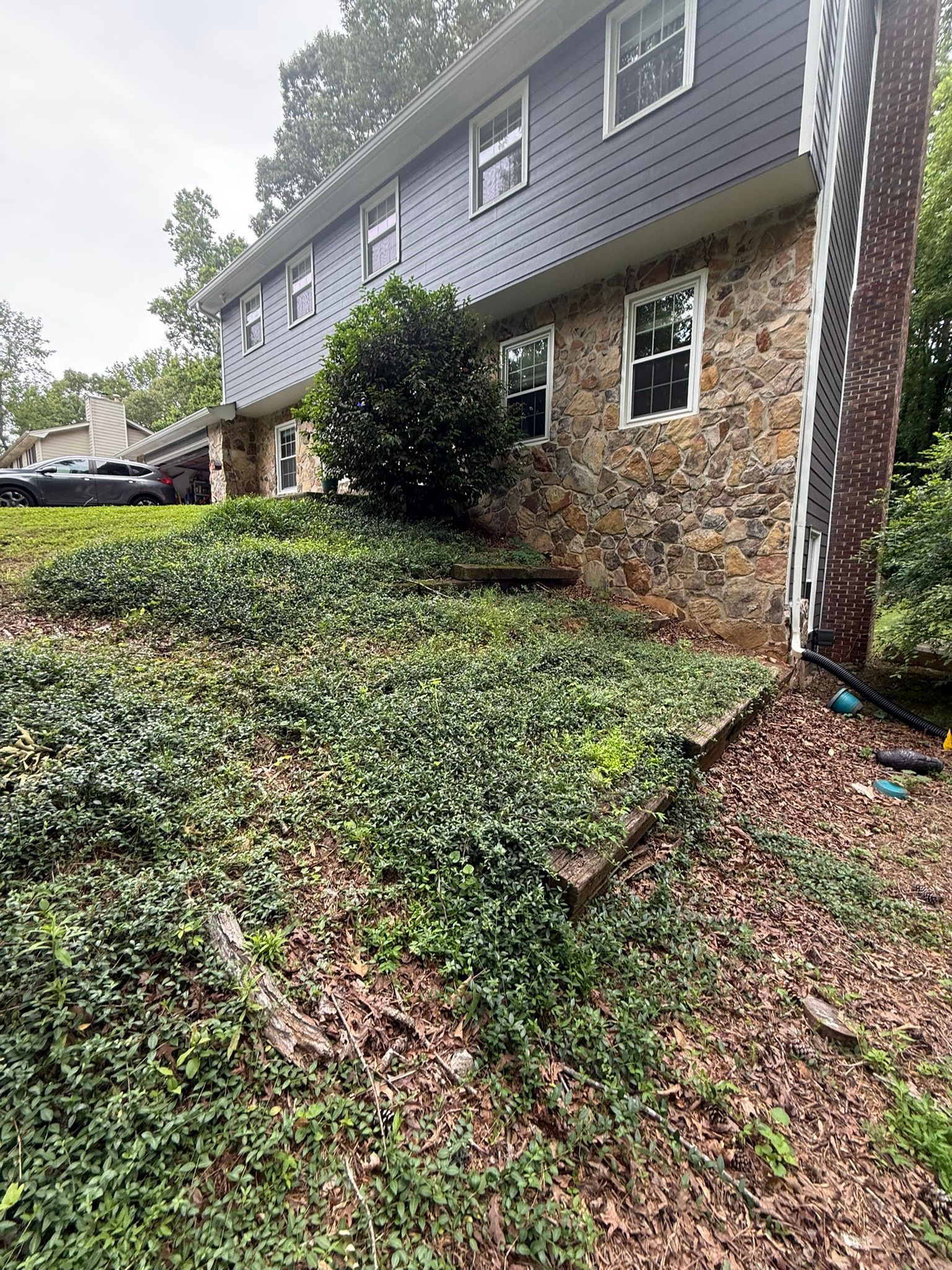 A house with a lot of ivy growing on the side of it.