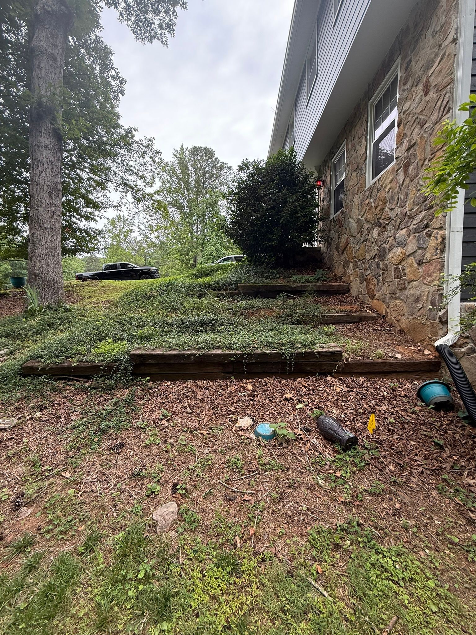 A dog is laying on the grass in front of a house.