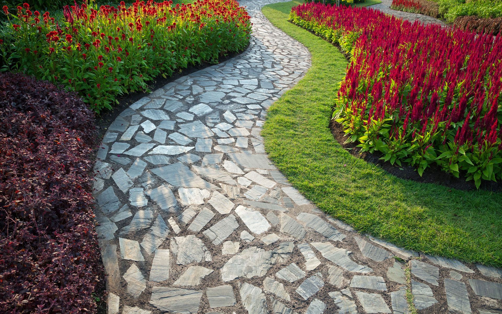 A stone walkway in a garden surrounded by flowers and grass.