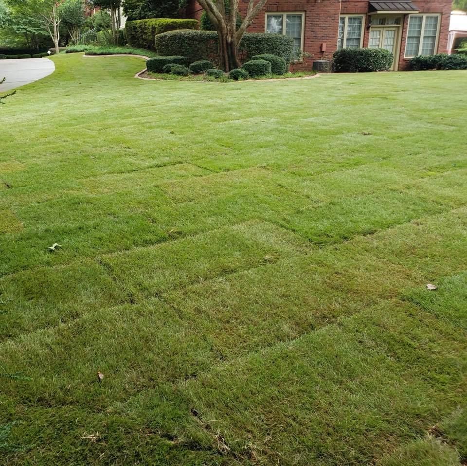 A lush green lawn in front of a brick house.