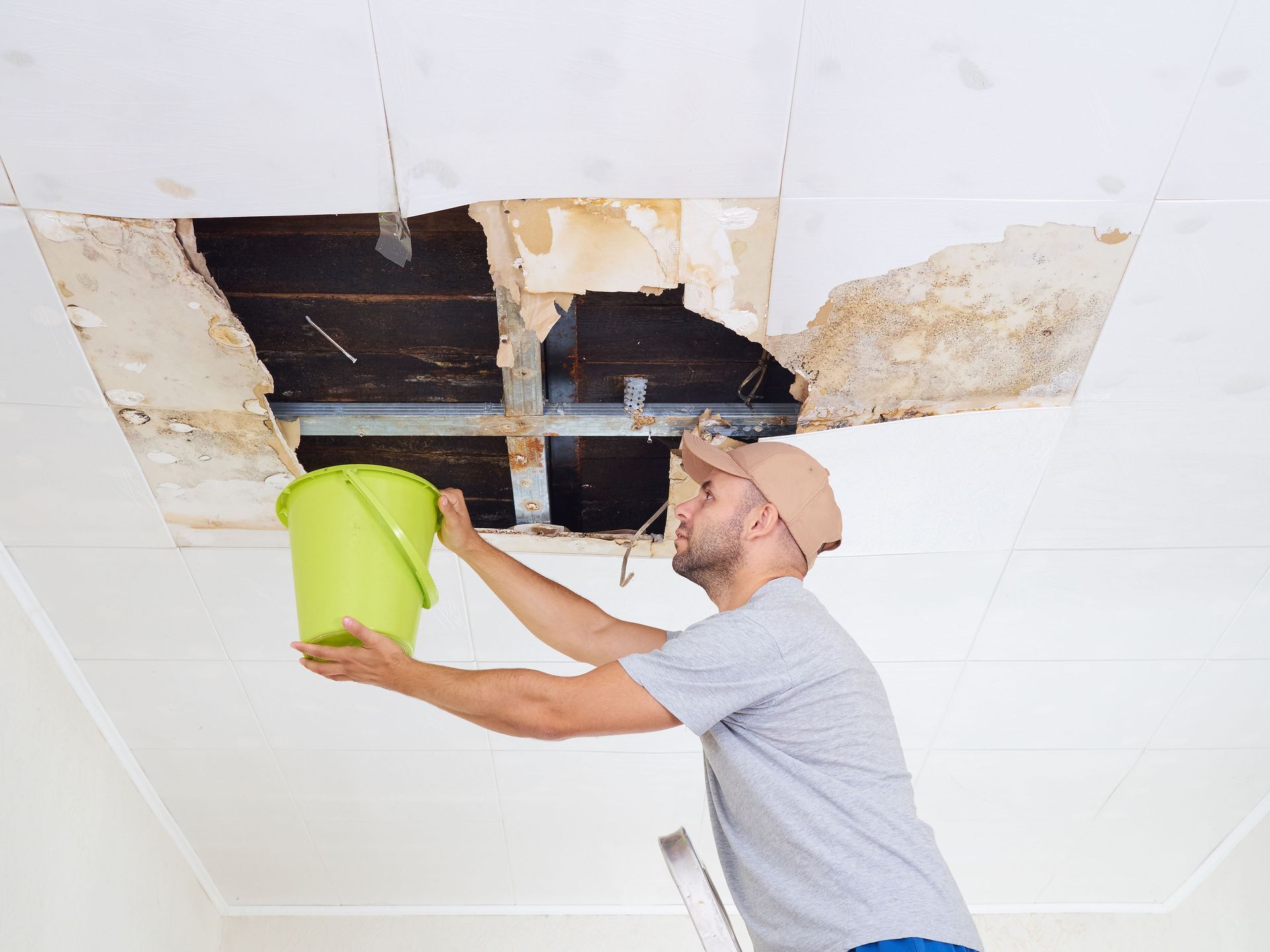 home insurance