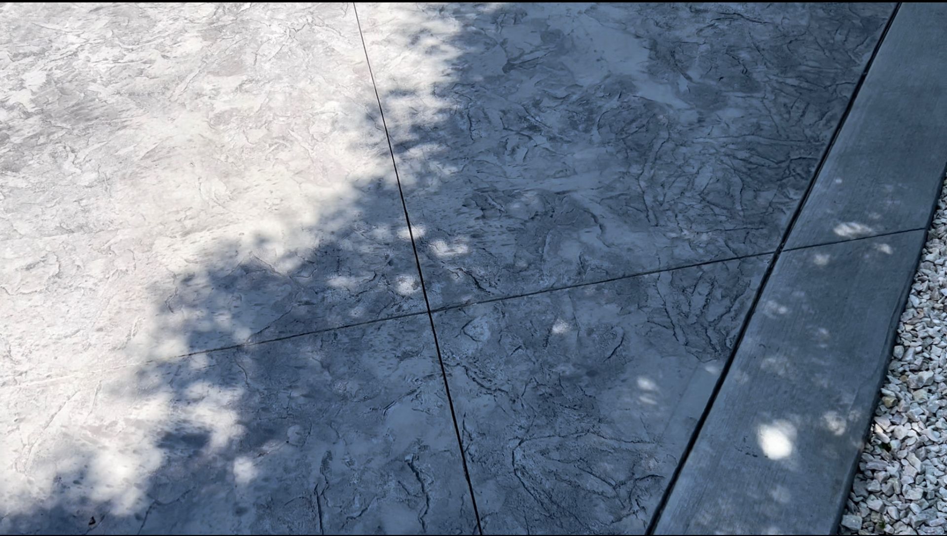 a shadow of a tree is cast on a concrete surface