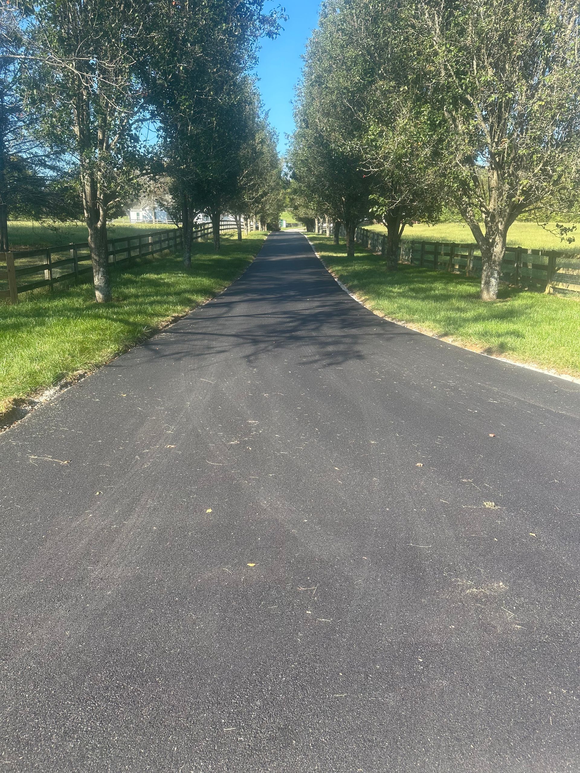 A road with trees on both sides of it and a fence in the background.