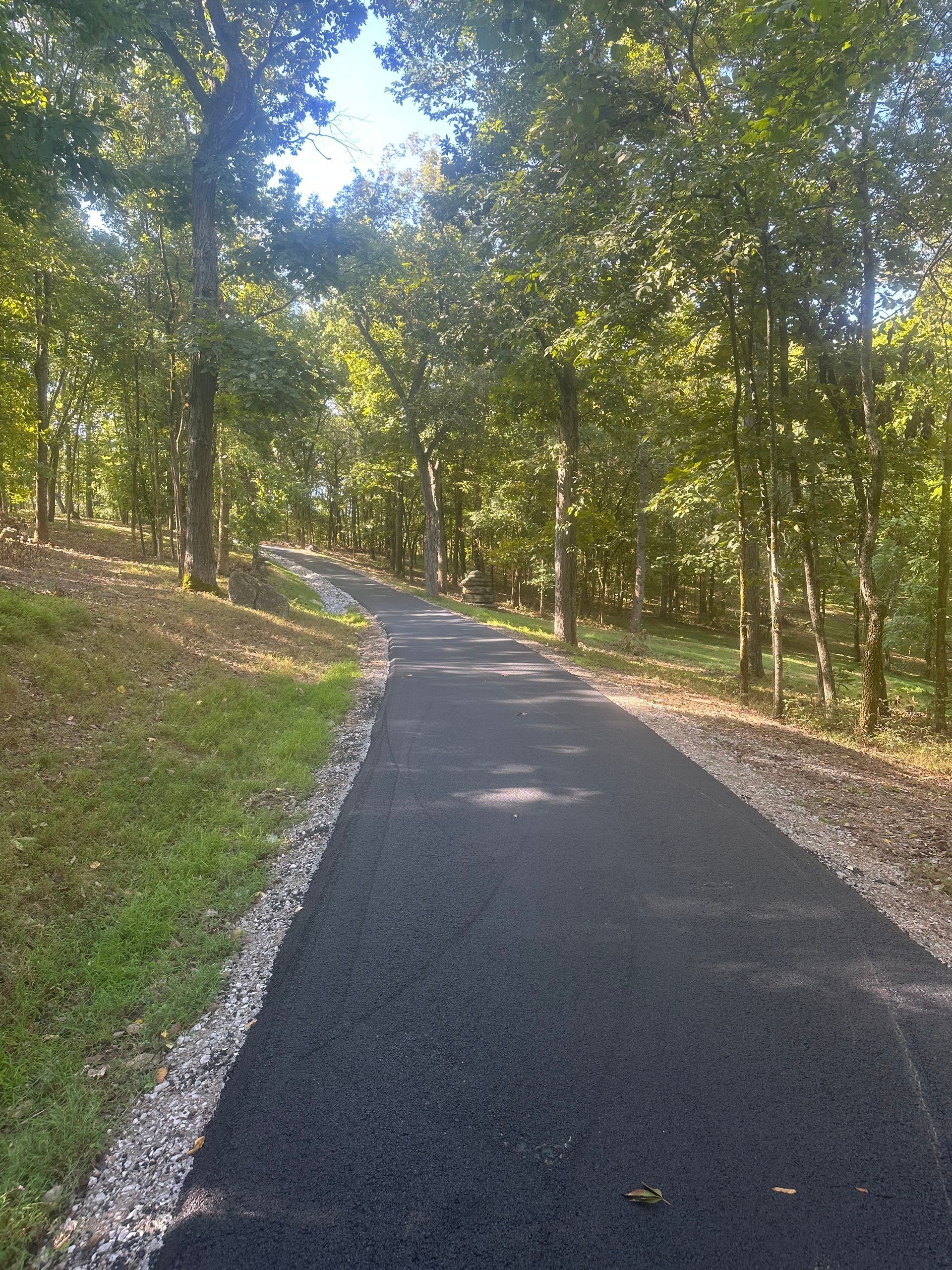 A road going through a forest on a sunny day.
