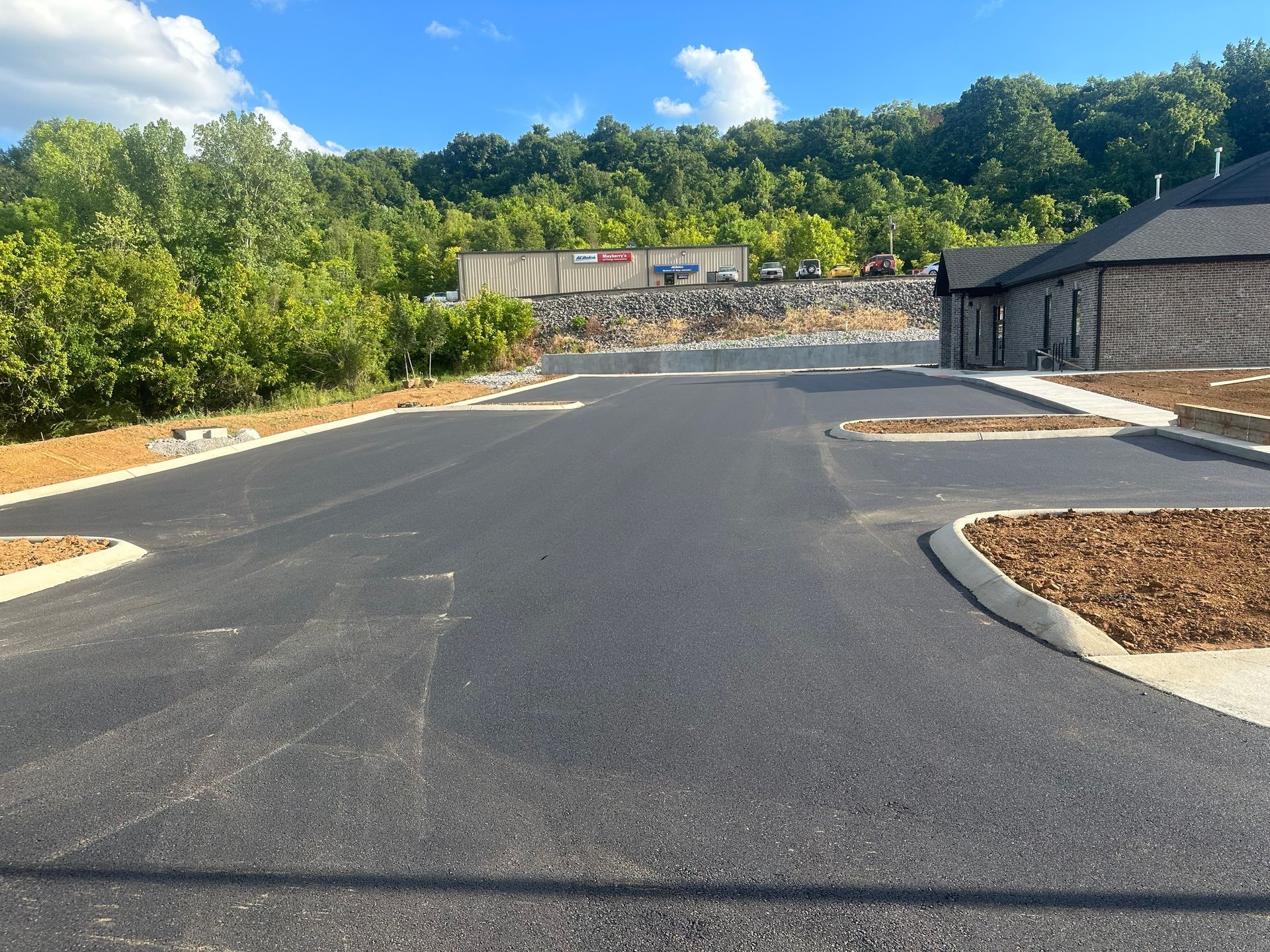 A road with a lot of trees on the side of it