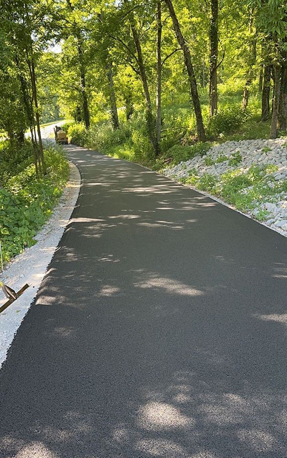 paved road under trees
