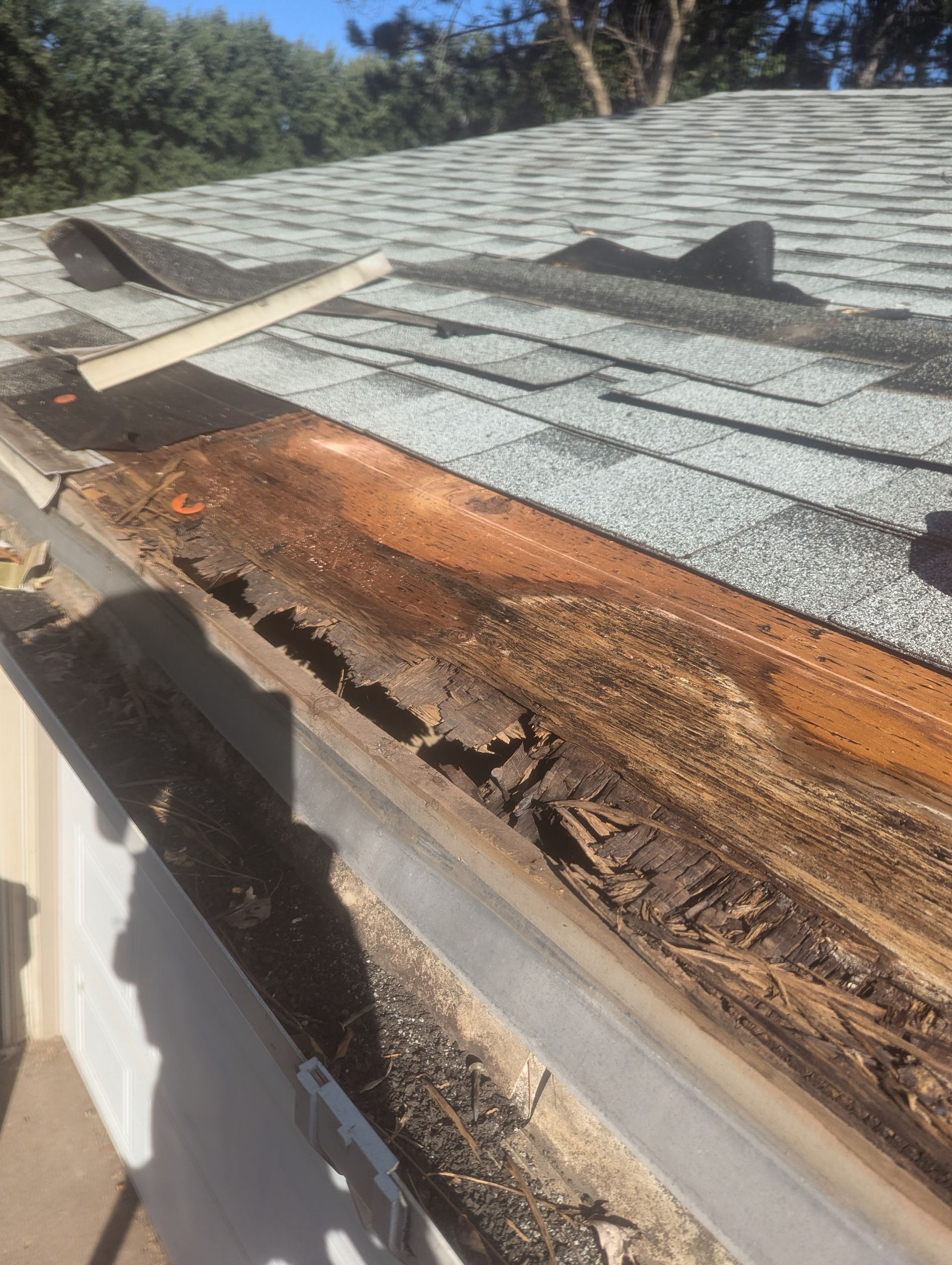 Damaged wooden roof.