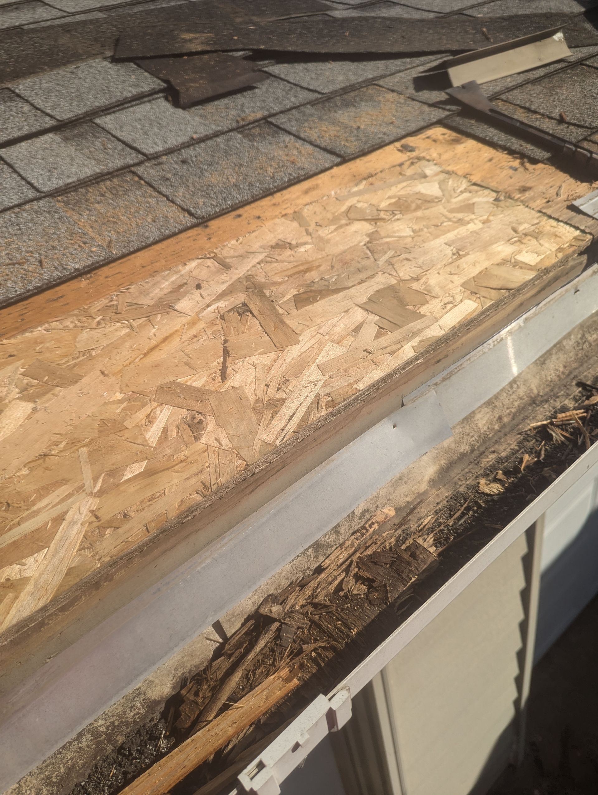 Plywood showing in the roof.